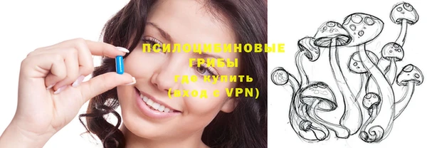 ПСИЛОЦИБИНОВЫЕ ГРИБЫ Красноперекопск