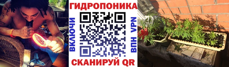 Бошки Шишки гибрид  где продают наркотики  ссылка на мегу как войти  Костерёво 